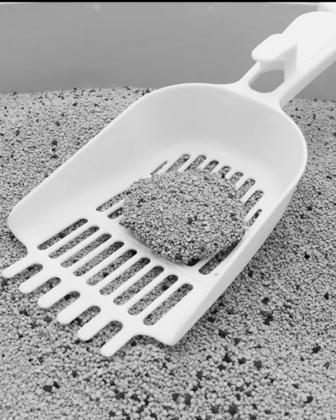 Arena Aglutinante Premium para Gatos 5L con Carbón Activo y Aroma a Lavanda