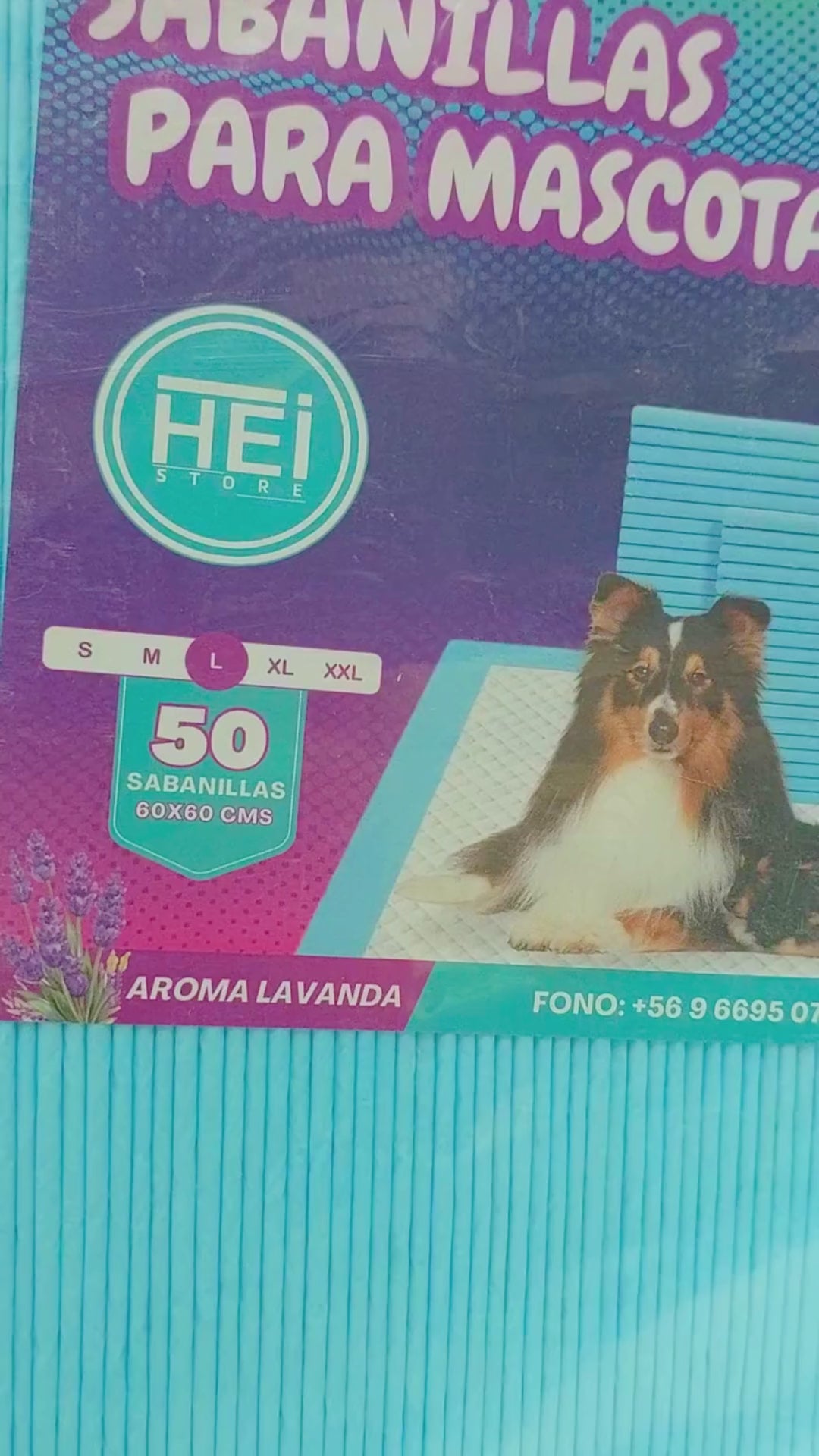 Pack 100 Sabanillas para Mascotas L - Súper Absorbentes 60x60 CM